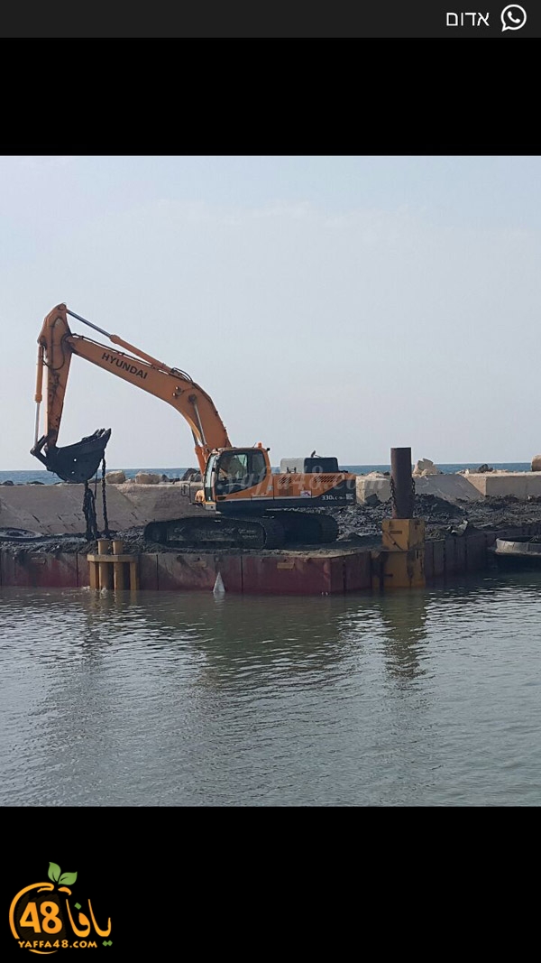 mina2 tandeefat3 (3).jpg